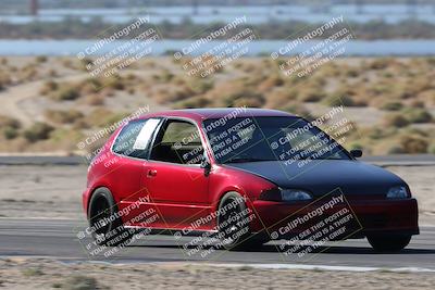 media/Oct-24-2025-Doghouse Garage (Fri) [[783d2ff07a]]/1-Advanced/Session 2 Turn 5 Tree of Life/